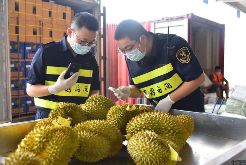 榴莲进口被卡海关？教你快速清关避坑全攻略
